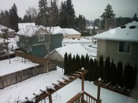 2014-02-10 11.09.21  Back yard looking down from deck